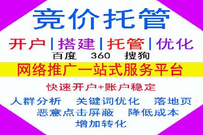 专业网站SEM托管服务案例展示