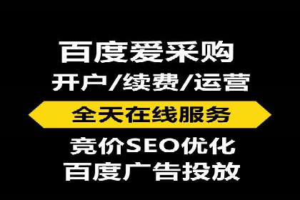 高效SEM托管公司案例对比分析